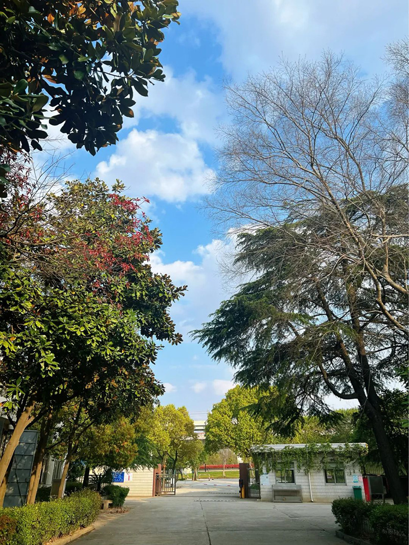極致的康發(fā)雙螺桿造粒機(jī)工匠精神，支撐著在追逐夢(mèng)想的旅程中穩(wěn)步邁進(jìn)。