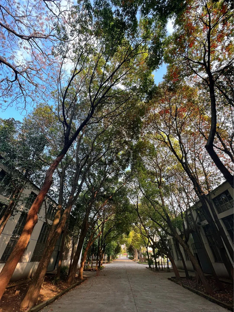極致的康發(fā)雙螺桿造粒機(jī)工匠精神，支撐著在追逐夢(mèng)想的旅程中穩(wěn)步邁進(jìn)。